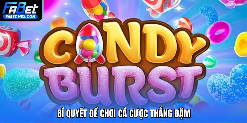 Bí quyết để chơi cá cược thắng đậm