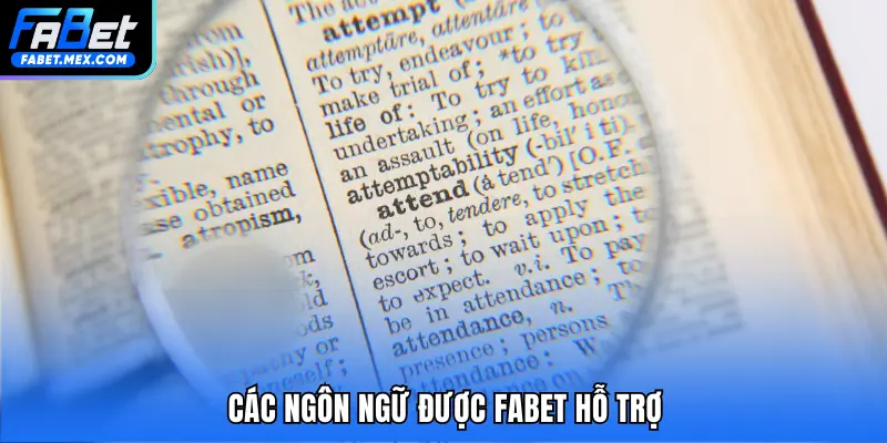 Các ngôn ngữ được FABET hỗ trợ