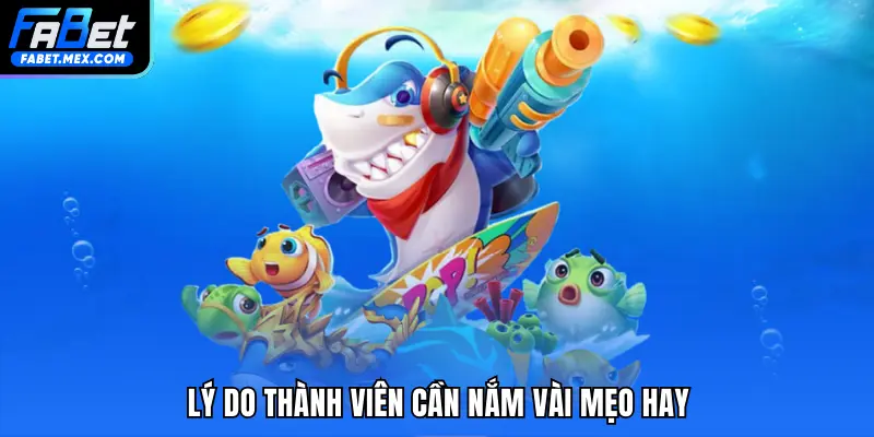 Lý do thành viên cần nắm vài mẹo hay